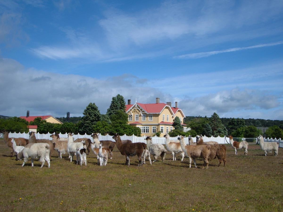 Estancia Rio Penitente Villa Tehuelche Eksteriør bilde